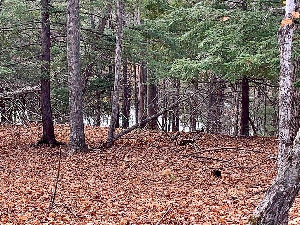 Almira Twp, MI 49650,00C Lazy Ridge Trail Lot: C