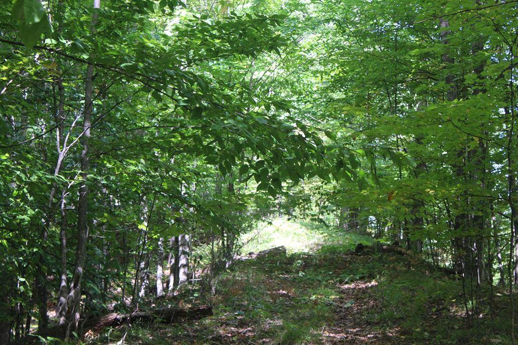 Milton Twp, MI 49676,000 Harbor Beach Drive