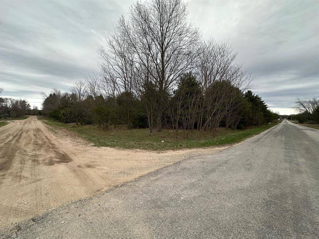 Bear Lake Twp, MI 49614,V/L double lot 11th Street