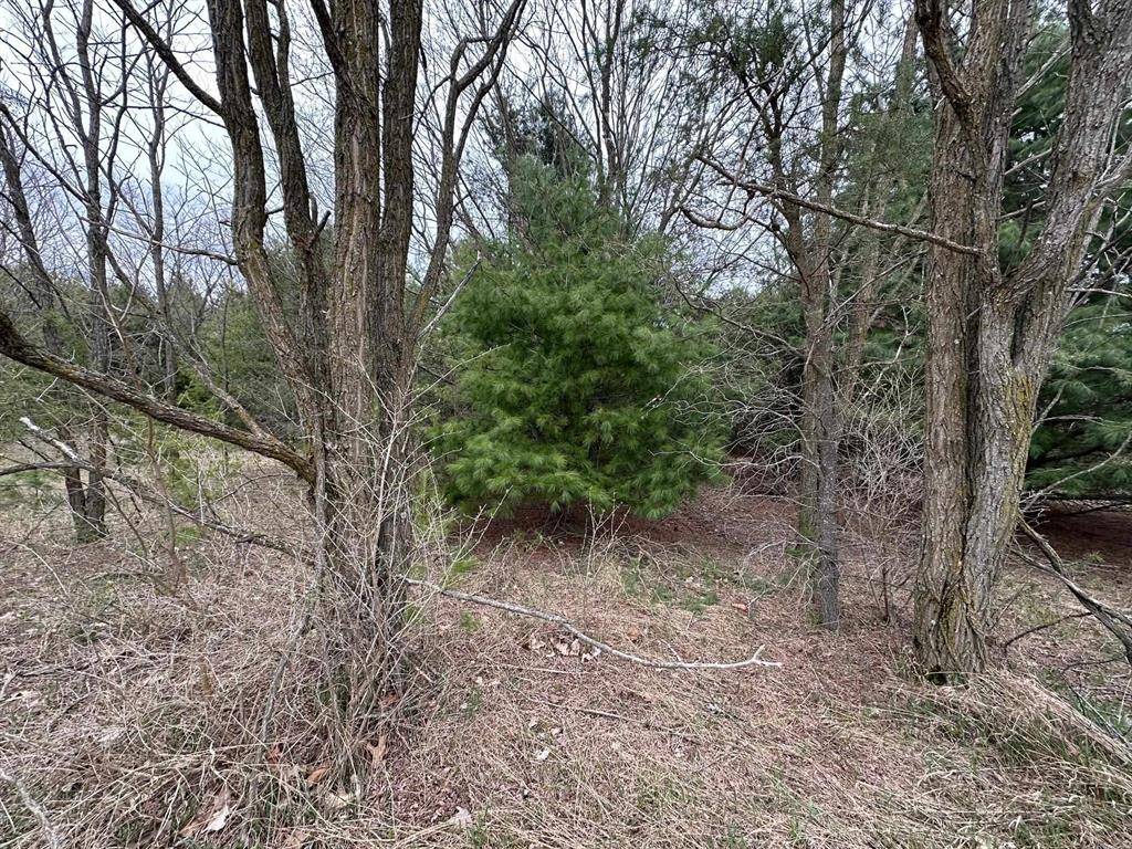 Bear Lake Twp, MI 49614,V/L double lot 11th Street