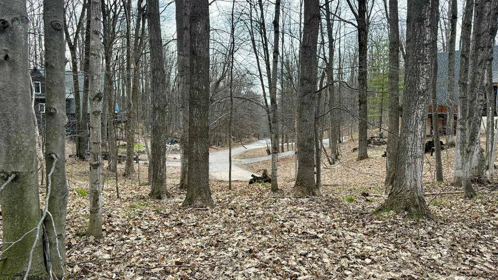 Custer Twp, MI 49615,Lot 60 Val Disere Drive Lot: 60