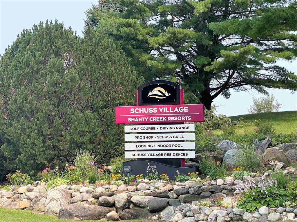 Custer Twp, MI 49615,Lot 60 Val Disere Drive Lot: 60