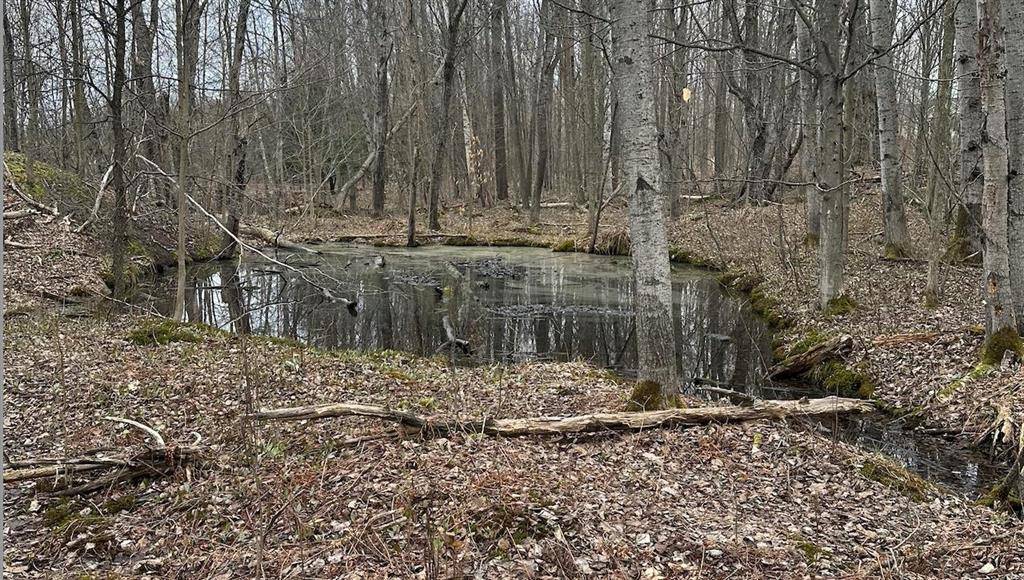 Empire Twp, MI 49630,00 W Deborah Ann Trail