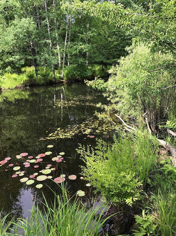 Empire Twp, MI 49630,00 W Deborah Ann Trail