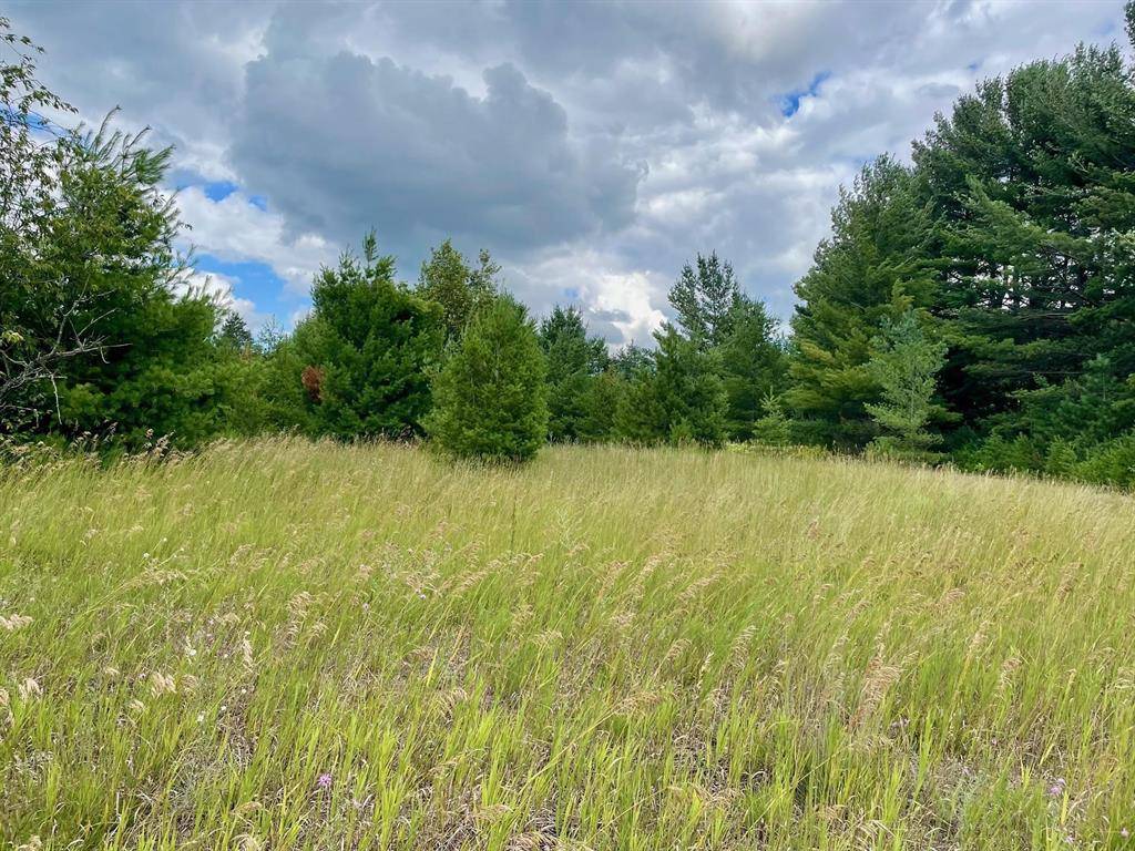 Kalkaska Twp, MI 49646,969 & 987 Quail Drive