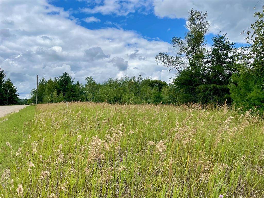 Kalkaska Twp, MI 49646,969 Quail Drive
