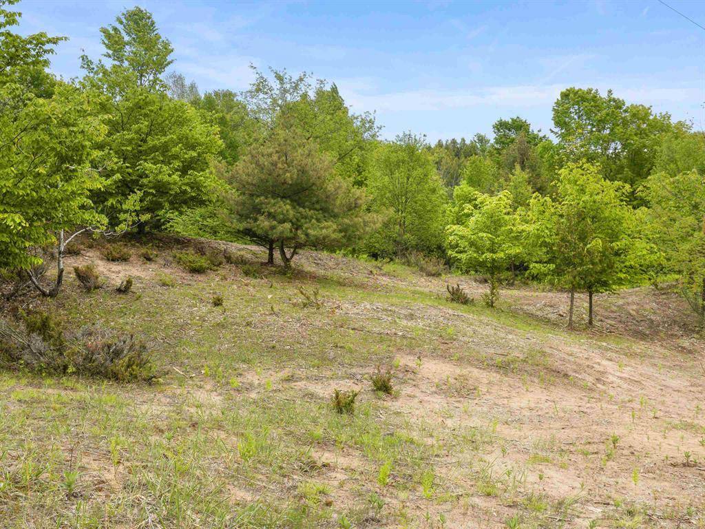 Arcadia Twp, MI 49613,15380 Lake Bluff Drive