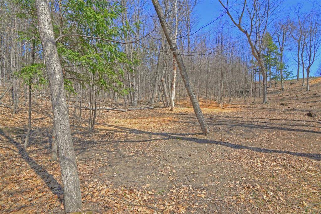 Elmwood Twp, MI 49684,Lot 52 S Skye Hill Drive Lot: 52