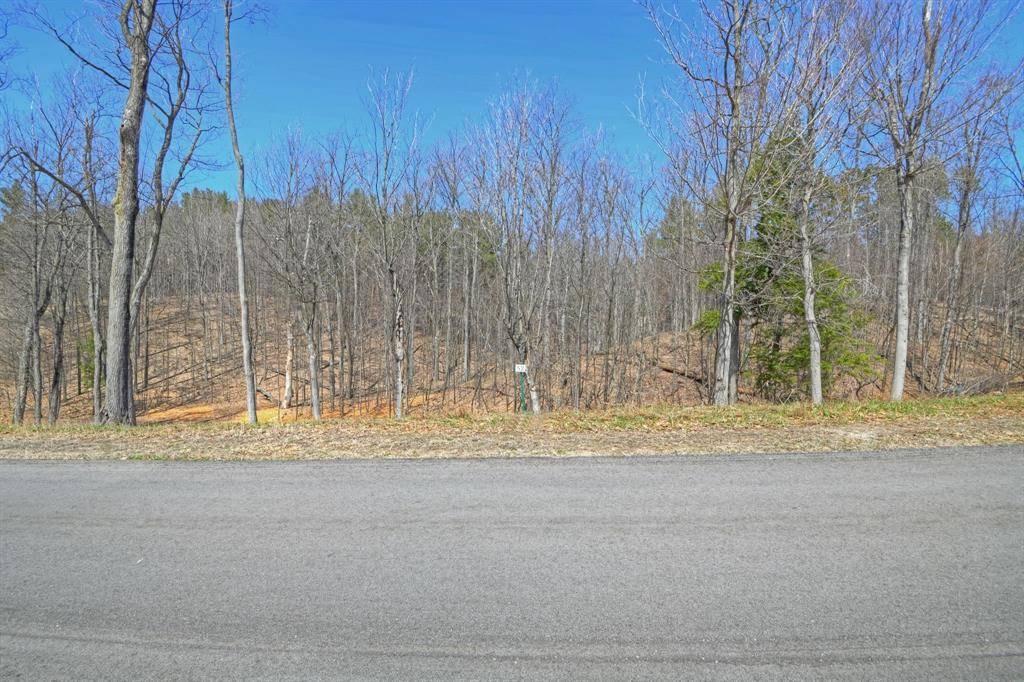 Elmwood Twp, MI 49684,Lot 52 S Skye Hill Drive Lot: 52