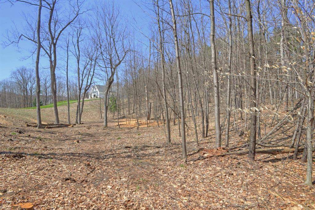 Elmwood Twp, MI 49684,Lot 52 S Skye Hill Drive Lot: 52