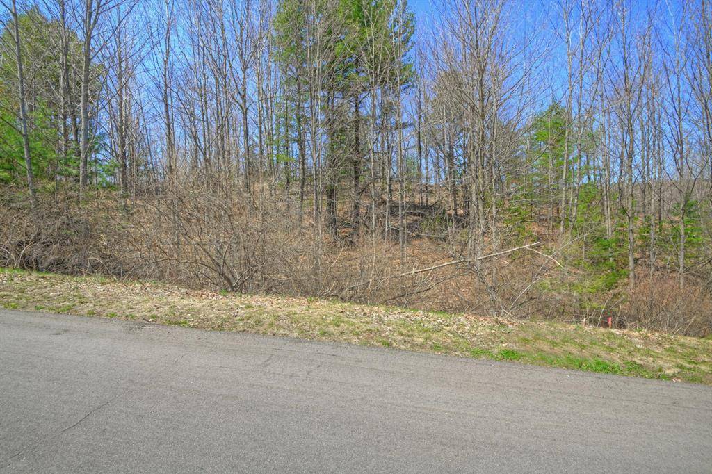 Elmwood Twp, MI 49684,Lot 59 S Skye Hill Drive Lot: 59