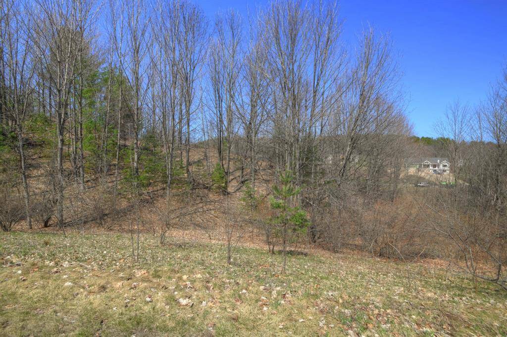 Elmwood Twp, MI 49684,Lot 60 E Summerfield Drive Lot: 60