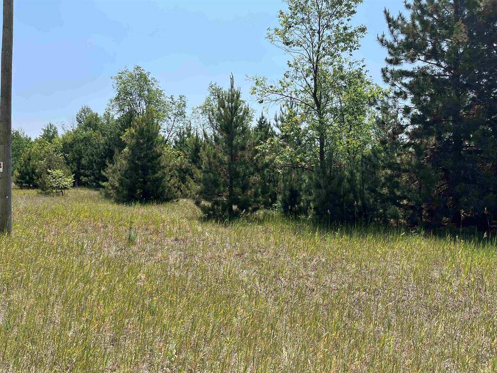 Rapid River Twp, MI 49646,S Westwood Lot: 9
