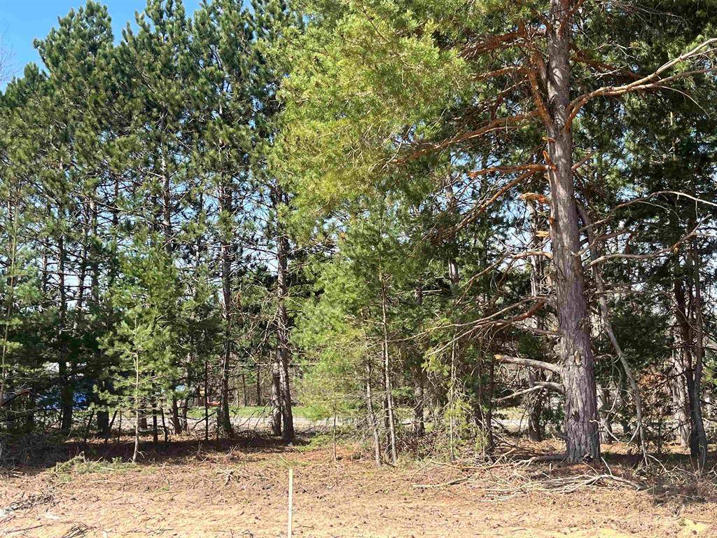 Blair Twp, MI 49685,2760 Mockingbird Drive 20