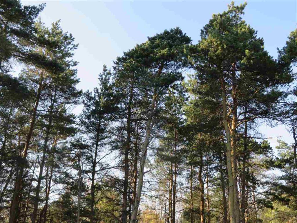 Fife Lake Twp, MI 49633,10.5 Spruce Hollow TerraceE