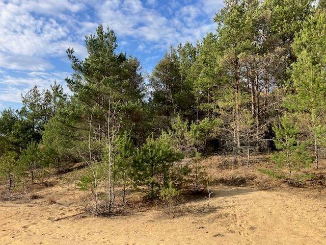 Hanover Twp, MI 49620,Parcel F-3 N 2 1/2 Road