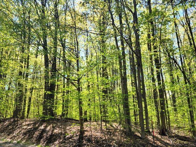 Custer Twp, MI 49615,61 Banhof Lane