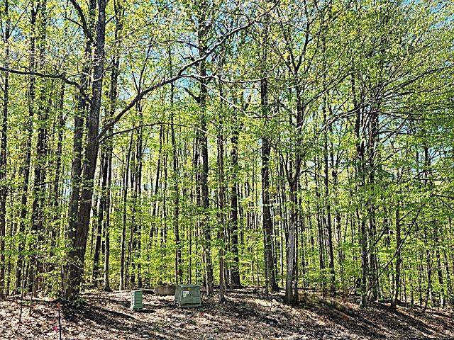 Custer Twp, MI 49615,61 Banhof Lane