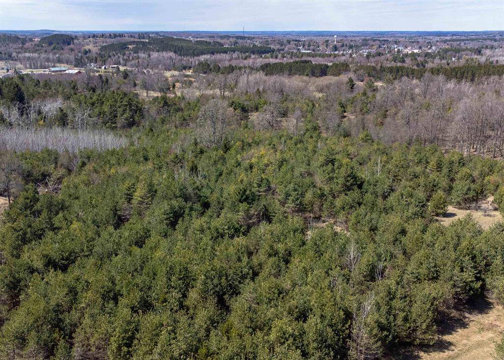 Cedar Creek Twp, MI 49663,V/L Parcel C E 18 1/2 Road