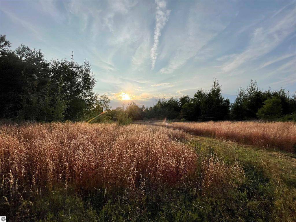 Cedar Creek Twp, MI 49663,V/L Parcel E E 18 1/2 Road