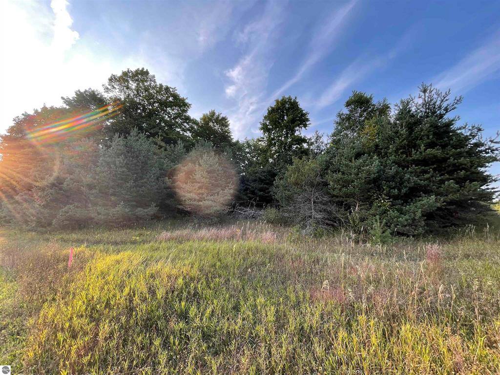 Cedar Creek Twp, MI 49663,V/L Parcel E E 18 1/2 Road