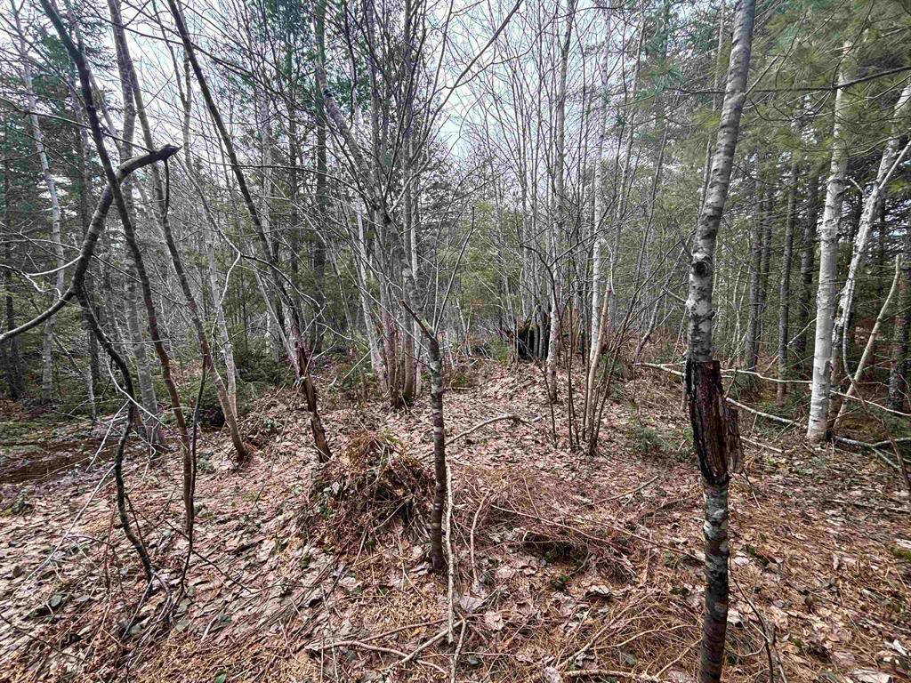Hulbert Twp, MI 49780,V/L 280A H-40