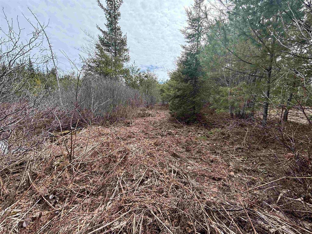 Hulbert Twp, MI 49780,V/L 280A H-40