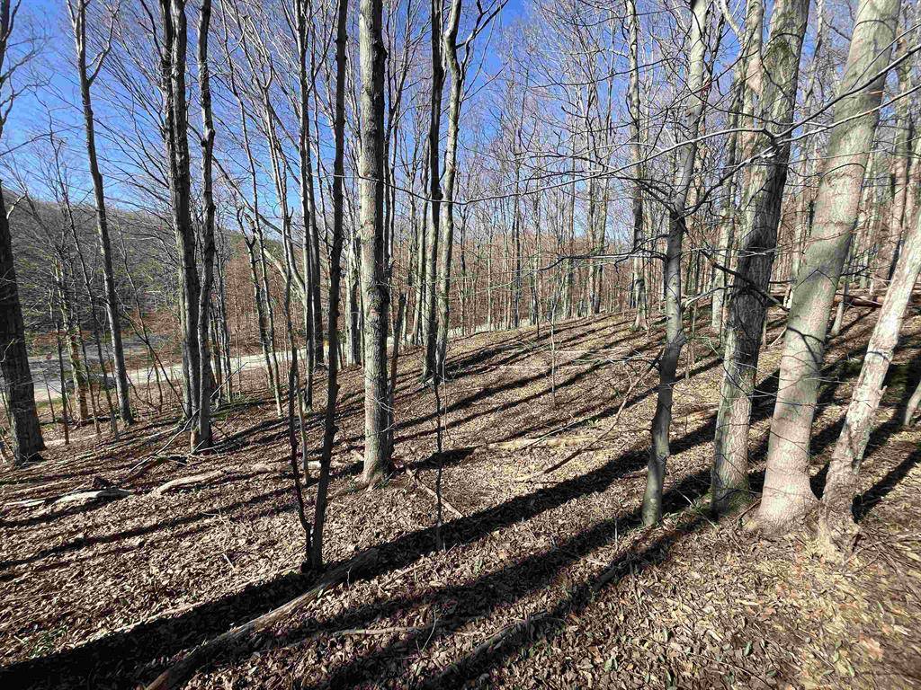 Crystal Lake Twp, MI 49635,Parcel C Lobb Road