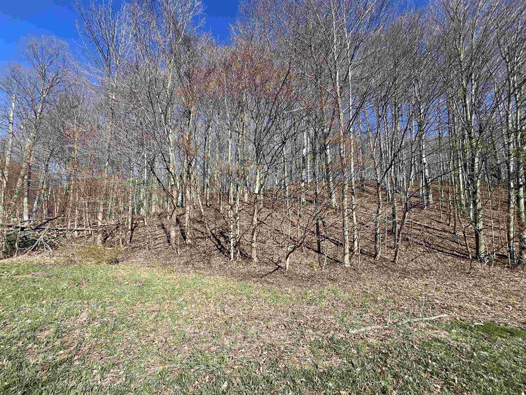 Crystal Lake Twp, MI 49635,Parcel C Lobb Road