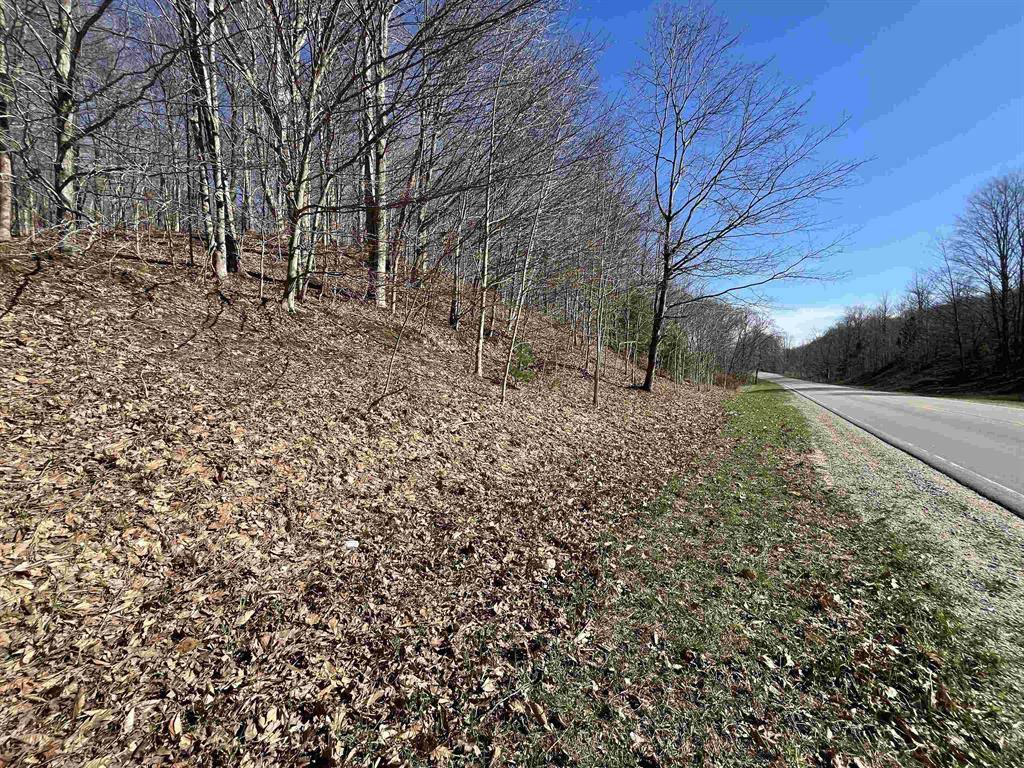 Crystal Lake Twp, MI 49635,Parcel E Lobb Road