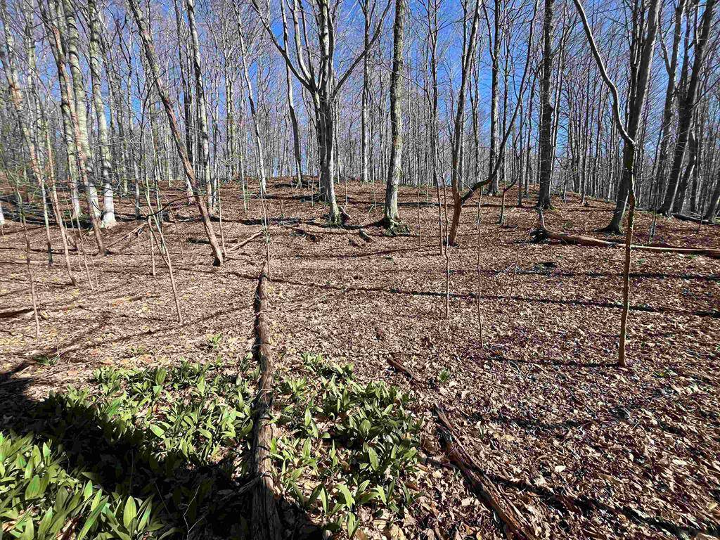 Crystal Lake Twp, MI 49635,Parcel E Lobb Road