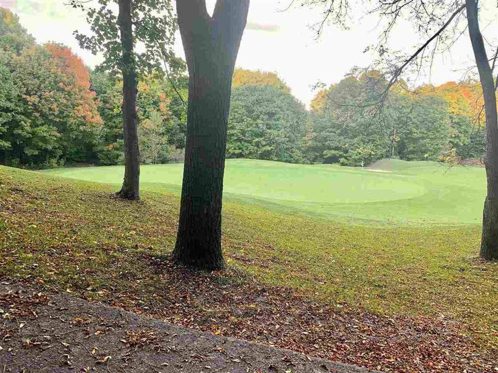 Kearney Twp, MI 49615,Lot 183 Troon South