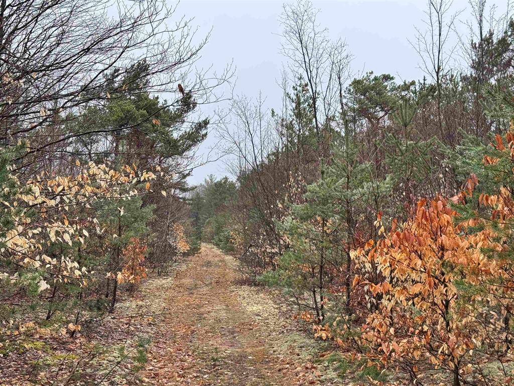 Cold Springs Twp, MI 49659,County Line Road