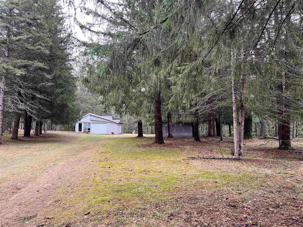 Bear Lake Twp, MI 49738,14628 Club Circle