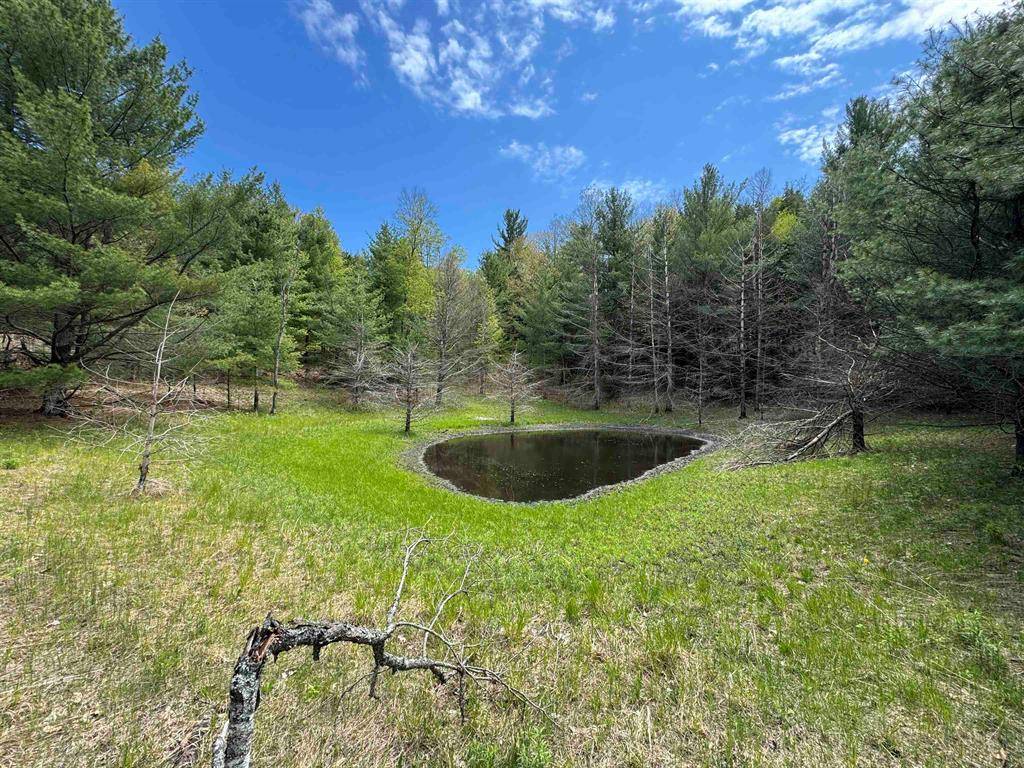 Kasson Twp, MI 49630,00 W Empire Highway