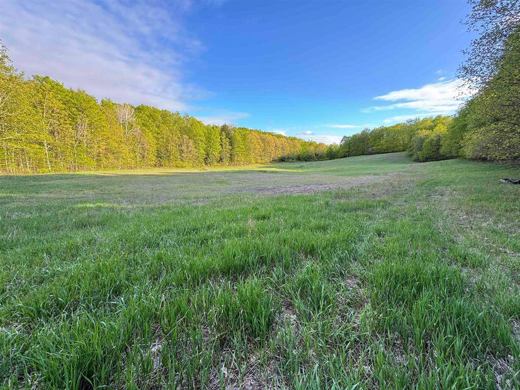 Kasson Twp, MI 49630,00 W Empire Highway