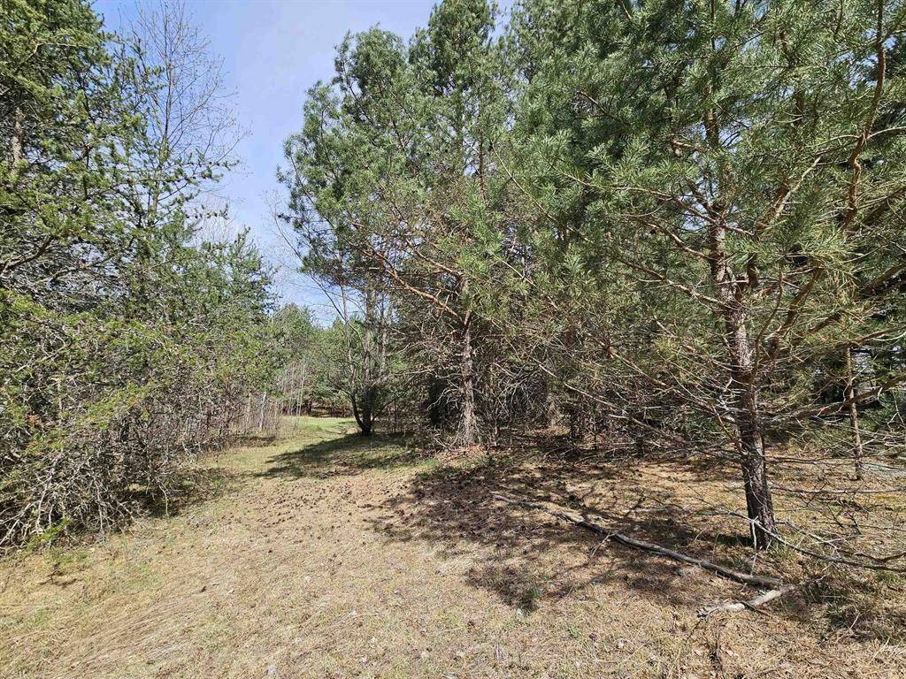 Bloomfield Twp, MI 49663,0 Arnold Road