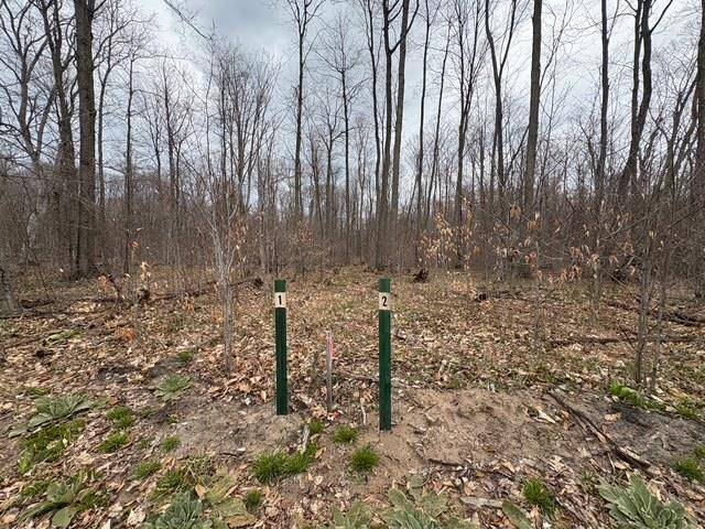 Empire Twp, MI 49630,6374 Kettle Way Lot: 2