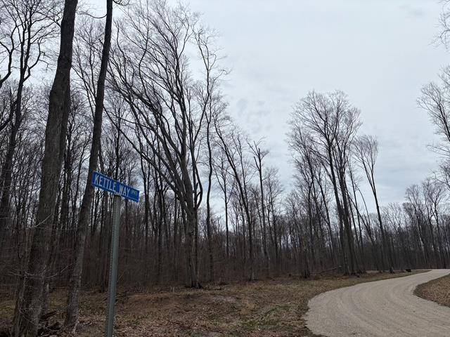 Empire Twp, MI 49630,6374 Kettle Way Lot: 2