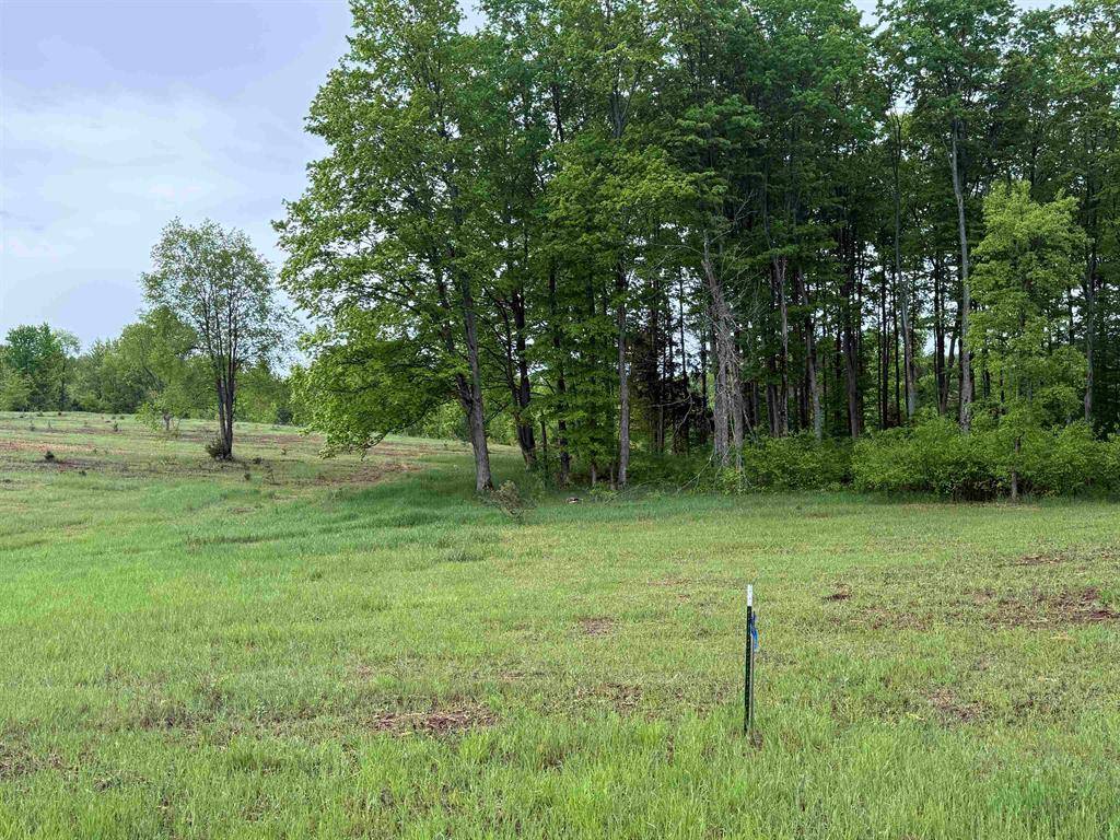 Kasson Twp, MI 49664,Parcel A6 S Bright Road Lot: A6