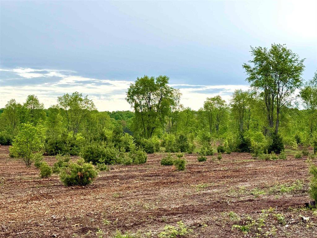 Kasson Twp, MI 49664,Parcel A8 S Bright Road Lot: A8