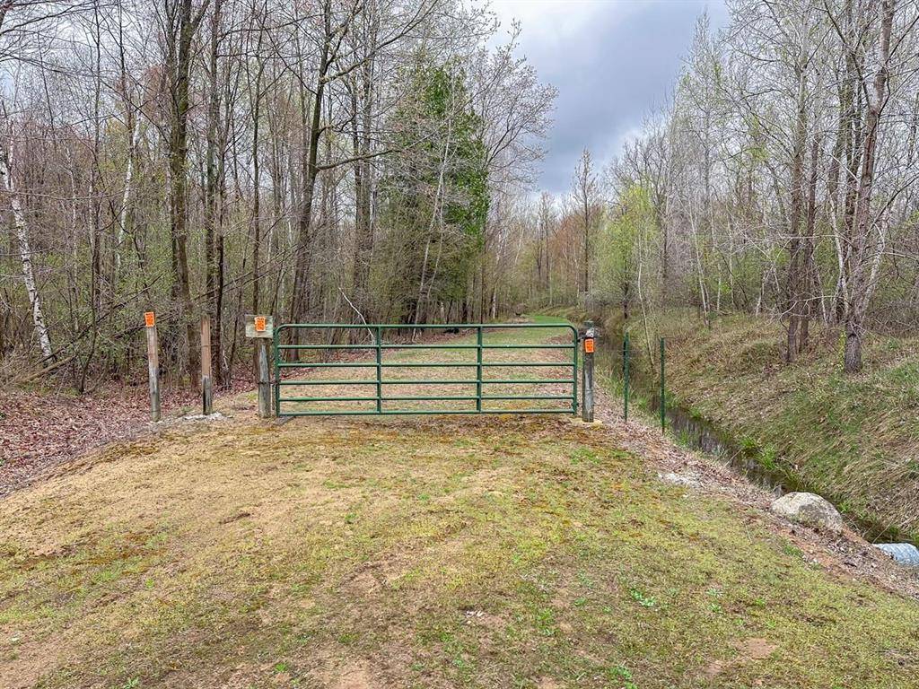 Beaverton Twp, MI 48612,0 Samantha Drive