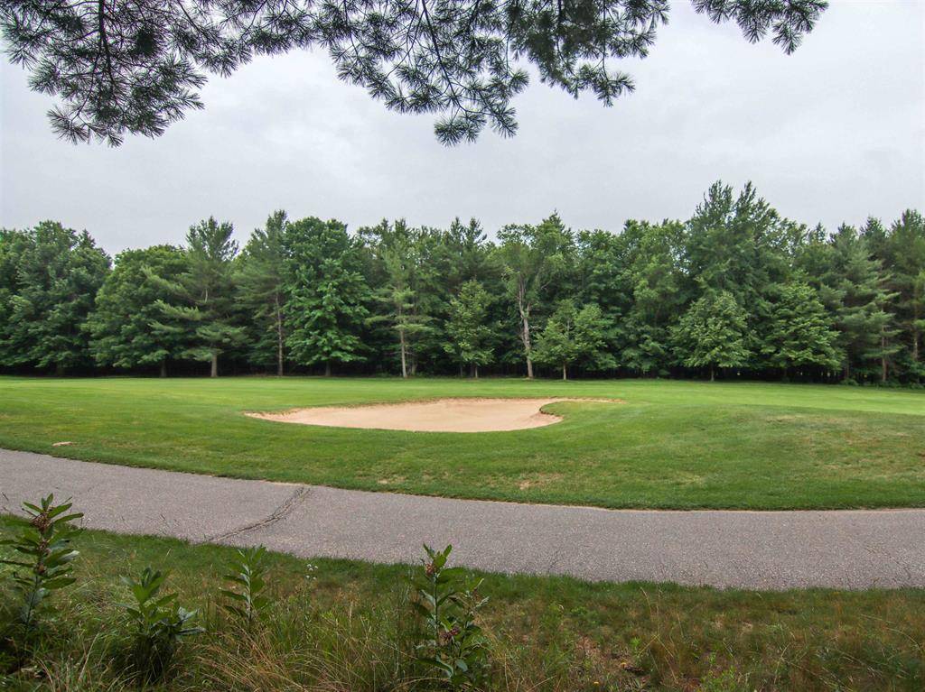 Weldon Twp, MI 49683,0000- 40 & 41 Trailside Drive