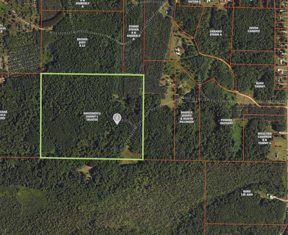 Forest Twp, MI 49651,VL Menzies Road