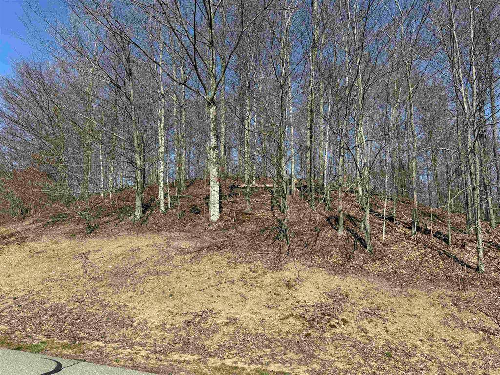 Empire Twp, MI 49630,0000 W Timber View Trail