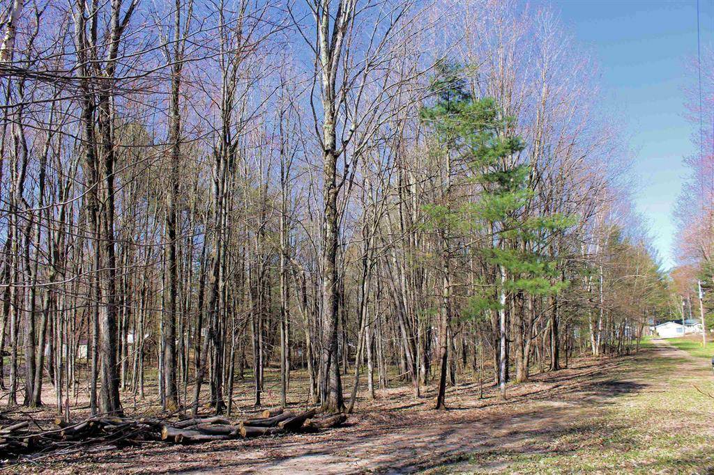 Cold Springs Twp, MI 49646,00 NE Chwastek Road