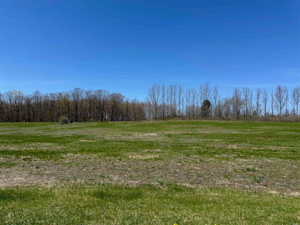 Leland Twp, MI 49653,Parcel 3 S Ruby Lane