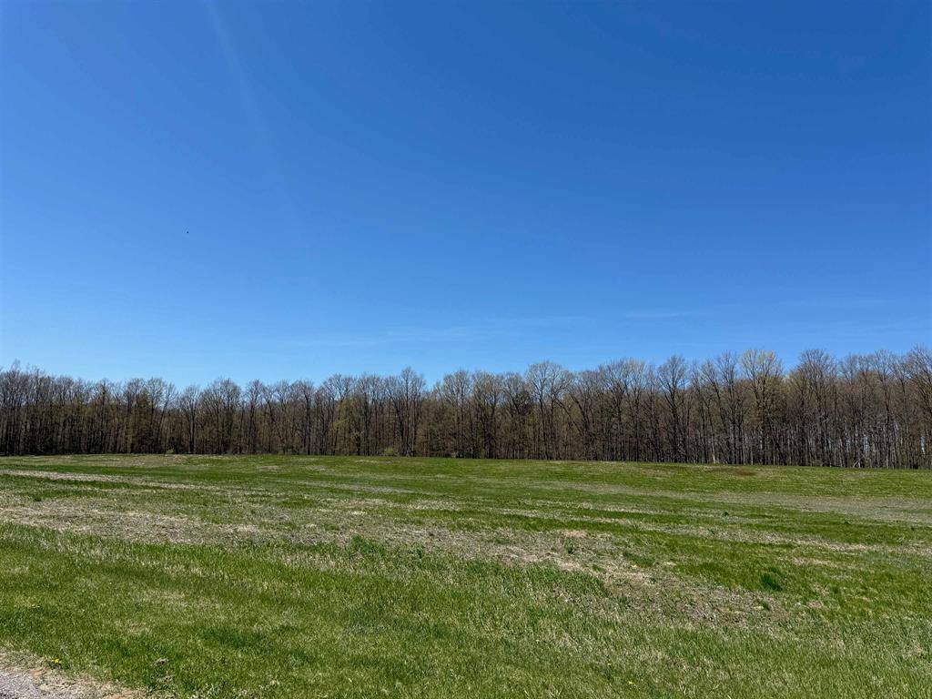 Leland Twp, MI 49653,Parcel 2 S Ruby Lane