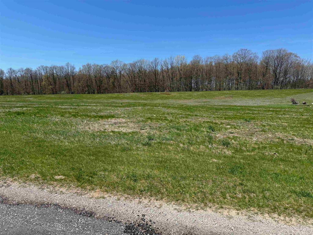 Leland Twp, MI 49653,Parcel 2 S Ruby Lane