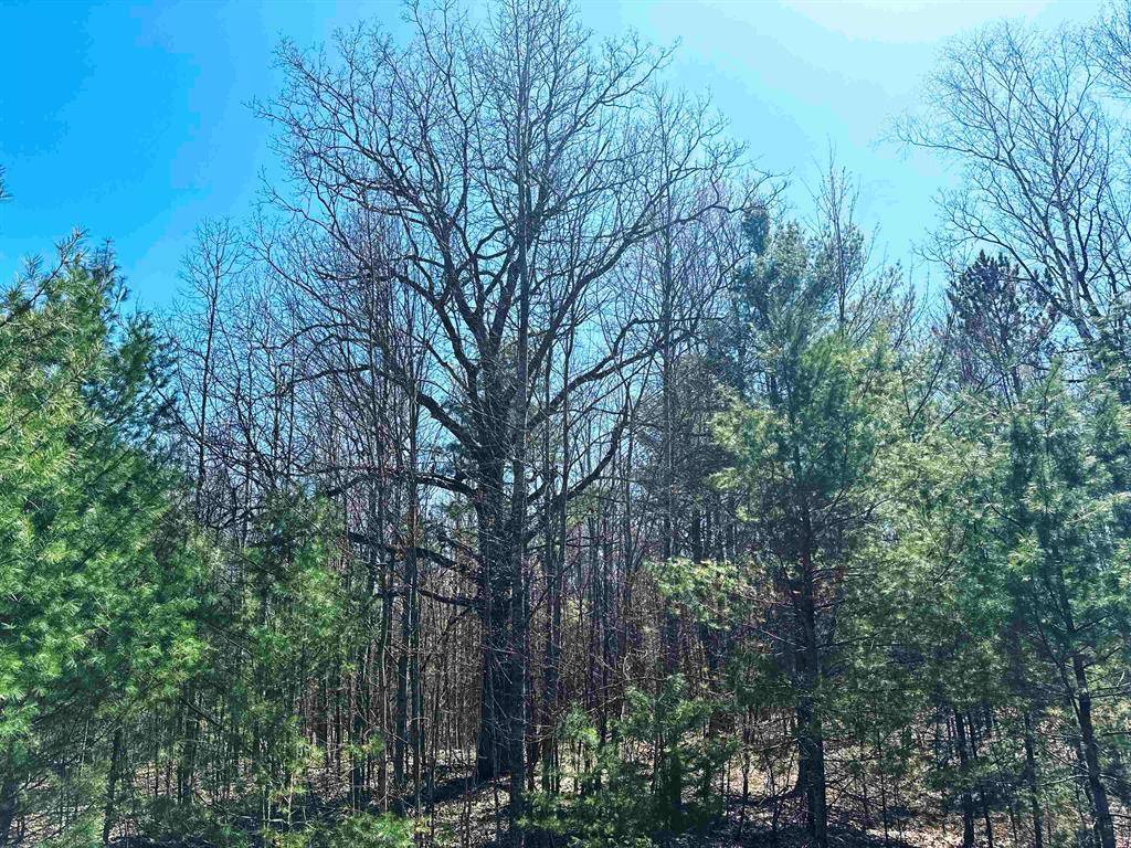 Orange Twp, MI 49646,V/L SE Bobcat Trail